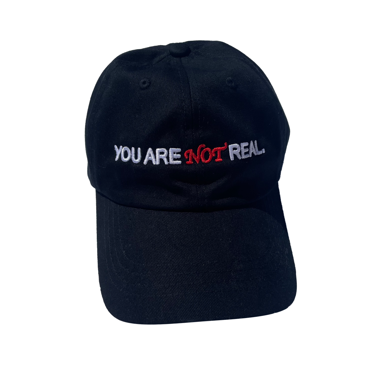 YOU ARE NOT REAL HAT
